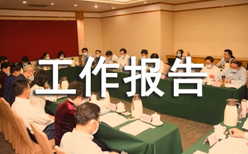 试用期的工作报告范文