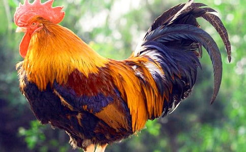 �����ֵ�С��������ѧ���