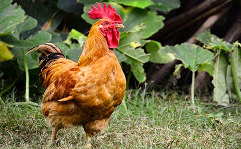 �󹫼����Ի�̰�