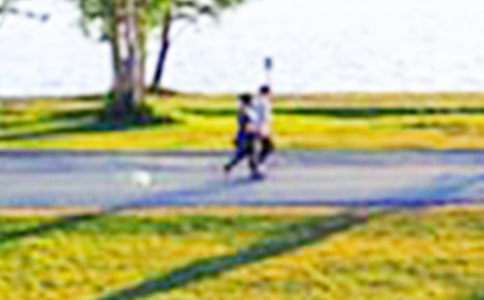 ��٪�޼͹�԰���ۺ��[�ϼ�8ƪ]