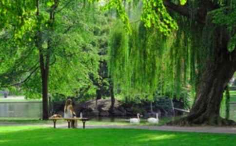 ��԰��ȹ����ܽᣨͨ��8ƪ��