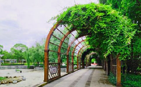 ��̳��԰�ۺ��