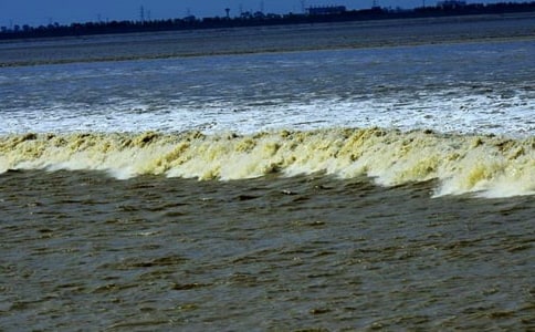 �۳��Ľ�ѧ���