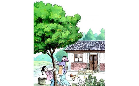 ���ϼ����������꡷�и�