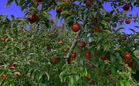 ��԰ת�ú�ͬ[��]