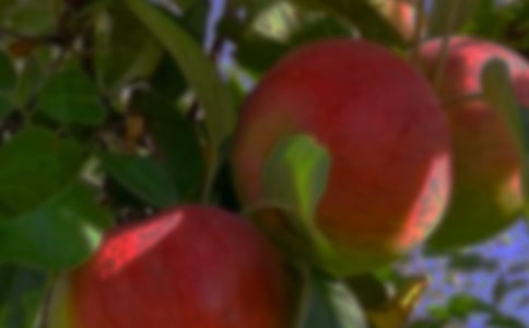 �򵥹�԰�а���ͬ