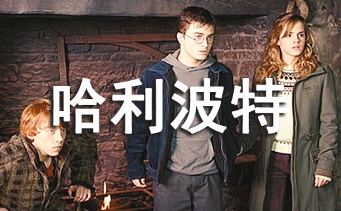 �����������ר���Ķ����