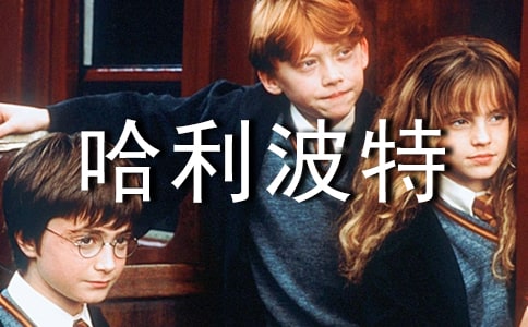 ���꼶��������ר�����з���