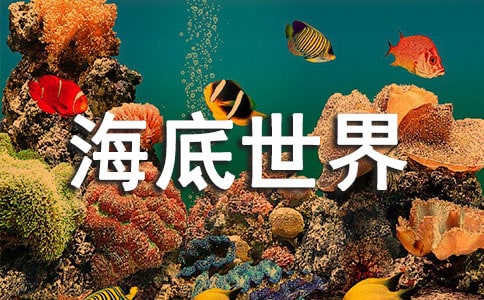 ���������а�̰�