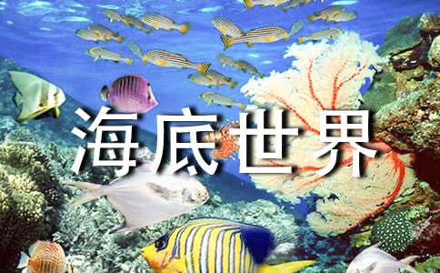 海底世界教学反思