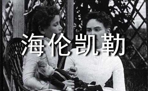 �����׿��ա������