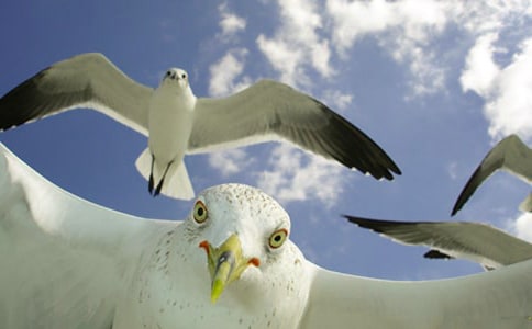 ���̺�Ÿ�����è�������