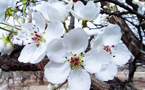 ���㺣�Ĺۺ�л���[15ƪ]