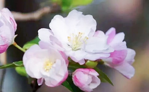 �����㺣�ġ��ۺ��(���15ƪ)