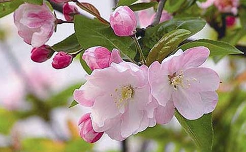 ���㺣�Ĺۺ��(15ƪ)