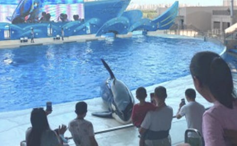 �а����̰�������԰��Ȥ�� 