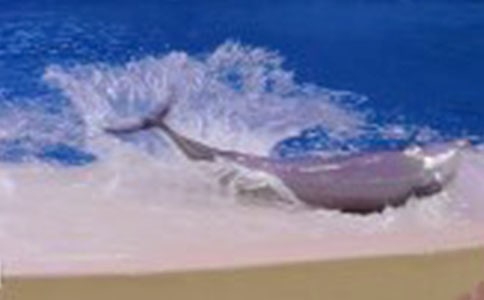 �����㣩����ɫ�ĺ��ൺ�������14ƪ