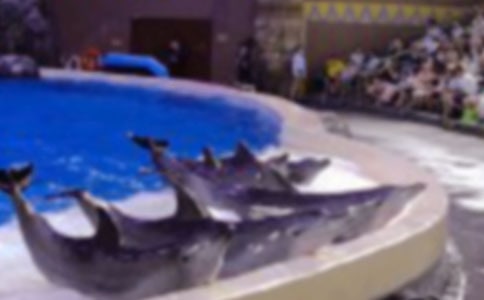 ����ɫ�ĺ��ൺ�������