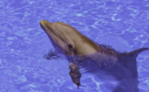 (��ѡ)������ɫ�ĺ��ൺ���и�