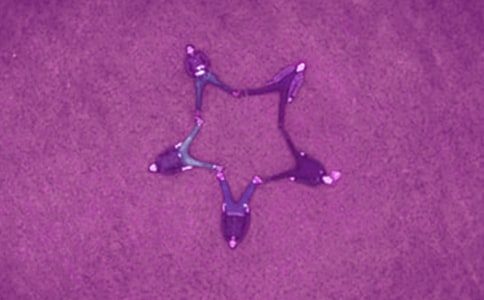 给qq好友简短的留言