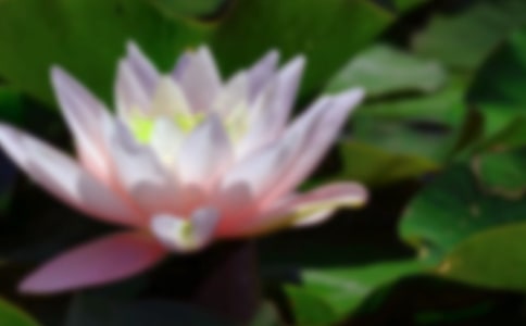 ���ɻ�����ѧ��˼(���15ƪ)