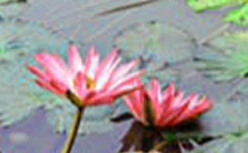 ��ѡ���ɻ������̰���ƪ