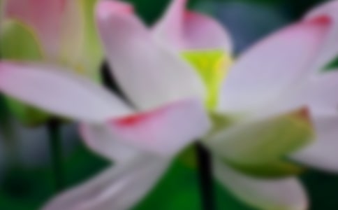 ���ɻ����ڶ���ʱ��ѧ���6ƪ