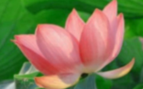 《荷花淀》读后感