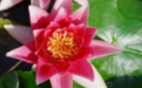 �йغɻ��̰���ƪ