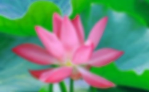 �������ɻ���ѧ��˼