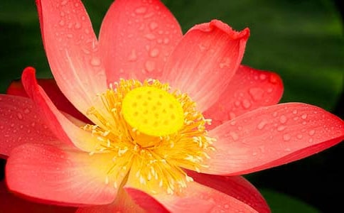 ���ɻ�����ѧ��˼[����15ƪ]