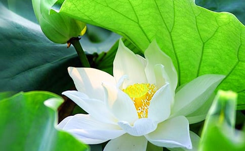 [��]�ɻ���ѧ��˼