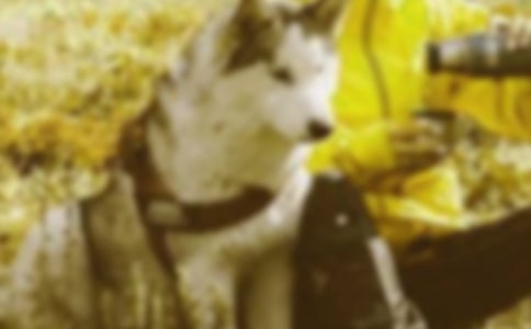 �����Ȱ�����������г���и�