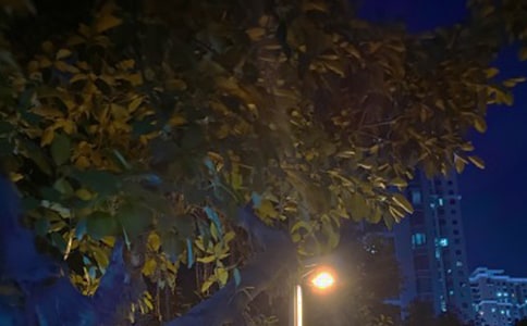 С��������ҹ�̰��뷴˼