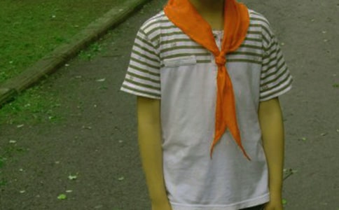 红领巾爱学习网上主题队课观后感