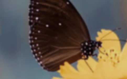 ����˺��������̰�