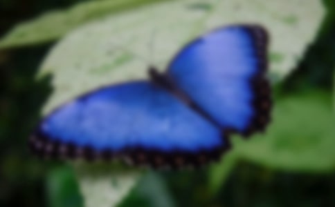 �а������̰��������ĺ���