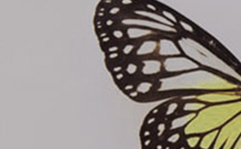 �������ĺ������а�̰�