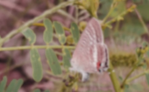 �������ĺ�������ѧ��˼