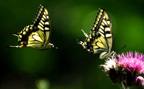 �������ļҡ���ѧ���