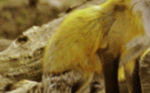 �˲���ĺ���ְֶ����