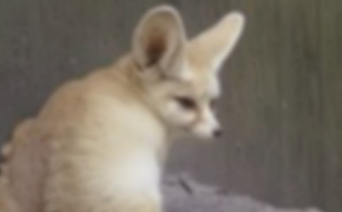 ���������ѻ���̰�9ƪ