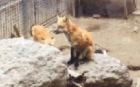 ����ͼ��Ľ̰�