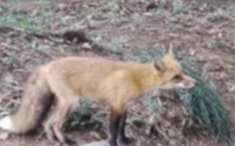 ���˲���ĺ���ְ֡������15ƪ[��]