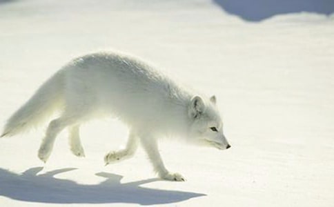 [����]���˲���ĺ���ְ֡������