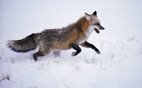 С���갢Ȩ�����