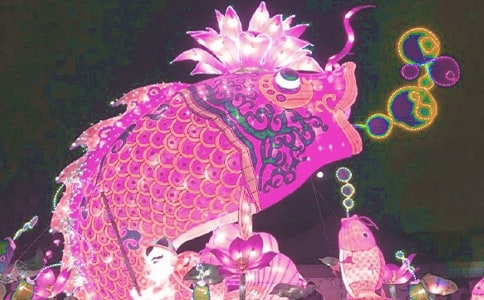 �а����Խ̰�����ҥ