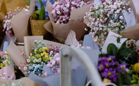 �ʻ�����ת��Э��