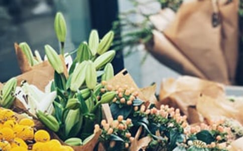 �����꡷�̰� 