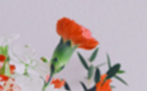 小花朵找朋友中班科学教案